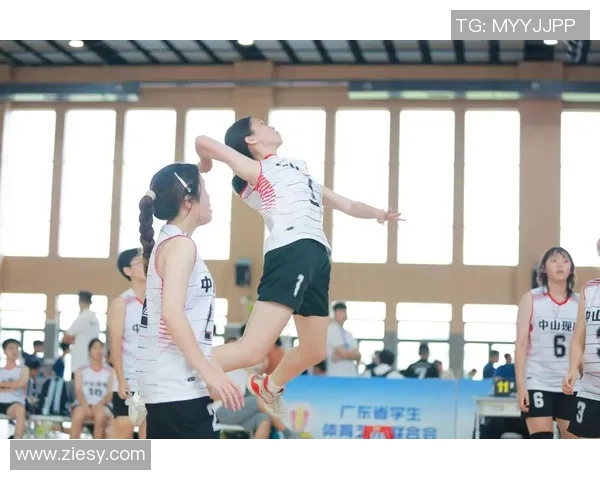 杭州排球队勇夺最新排球耐力排行榜第一名引发热议