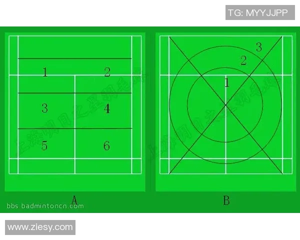 深圳羽毛球队在冠军赛中的节奏表现分析与战术解读 深圳羽毛球队在冠军赛中的节奏表现分析与战术解读