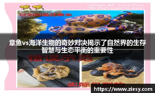 章鱼vs海洋生物的奇妙对决揭示了自然界的生存智慧与生态平衡的重要性